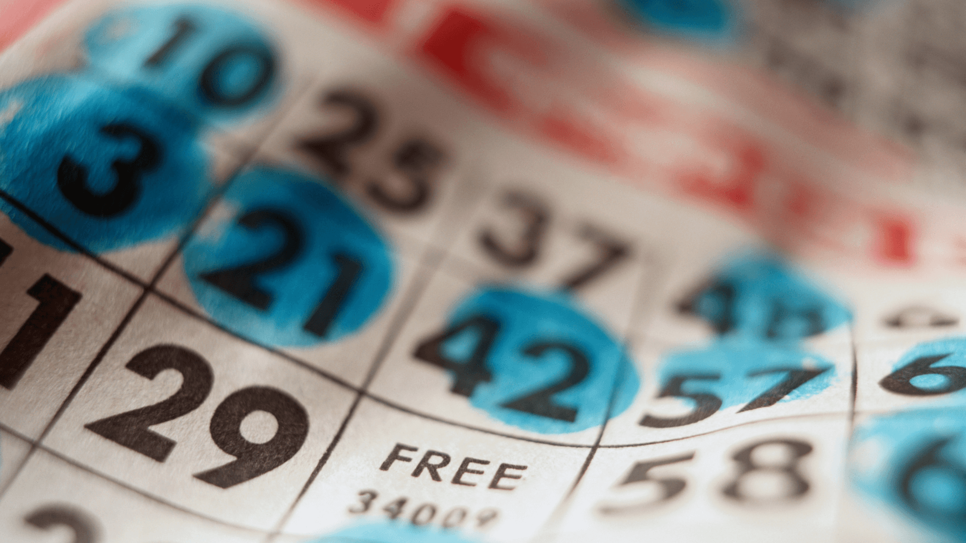 Vse o spletnih karticah in klicih za tombolo image